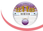 Motor Vehicle tax disc